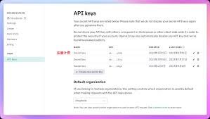 chatgpt api key 要钱吗ChatGPT API Key收费情况